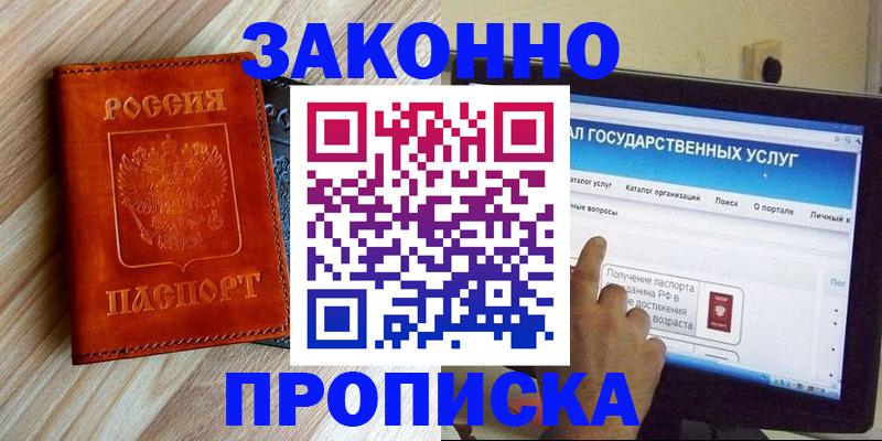 прописка гарантия в Долгопрудном